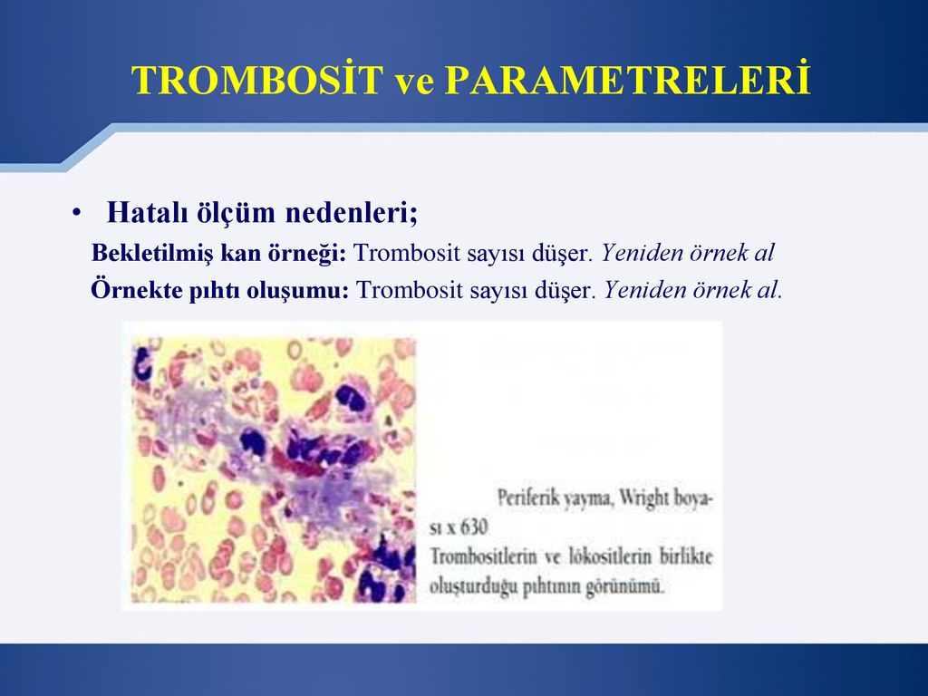 HEMOGRAM ve PERİFERİK KAN DEĞERLENDİRME ppt indir